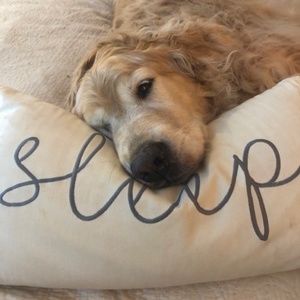 Meet your Posher, Michelle.